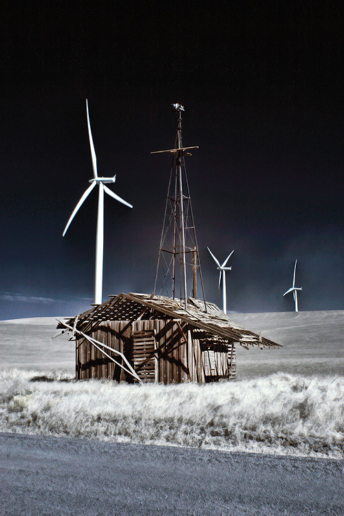 1010_Windman02