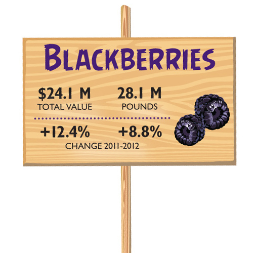 0413 FOB ByTheNumbers Black
