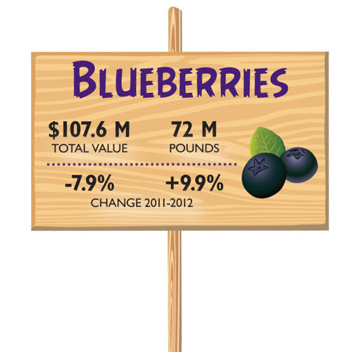 0413 FOB ByTheNumbers Blue