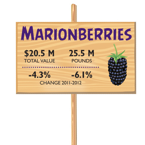 0413 FOB ByTheNumbers Marion