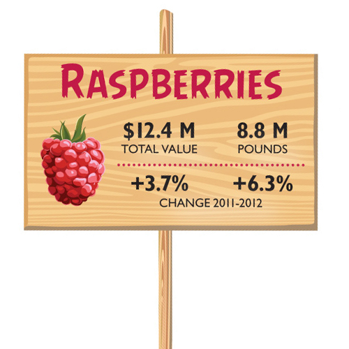 0413 FOB ByTheNumbers Rasp