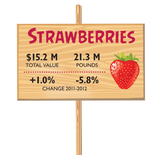 0413 FOB ByTheNumbers Straw
