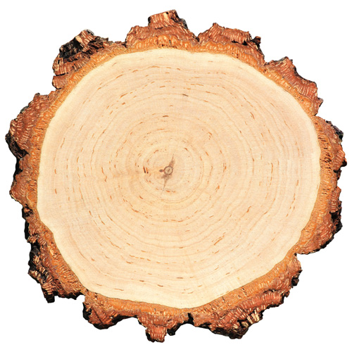 0413 TimberSplit 01