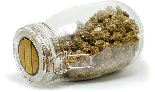 0414 pot mg 0735