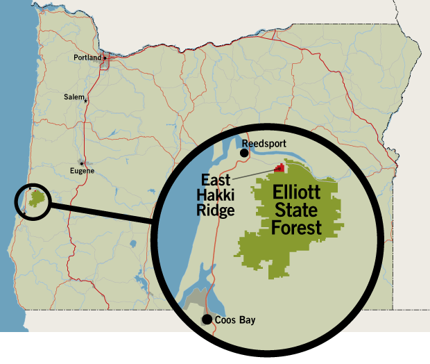 1114seneca Elliott-Forest-map OBM 620px
