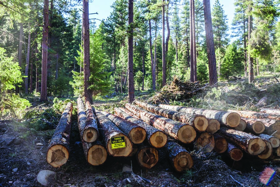 Ochoco logging