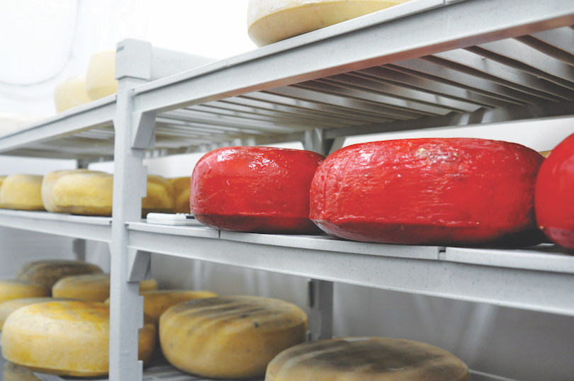 Nestucca Bay Creamery specializes in French style aged cheeses