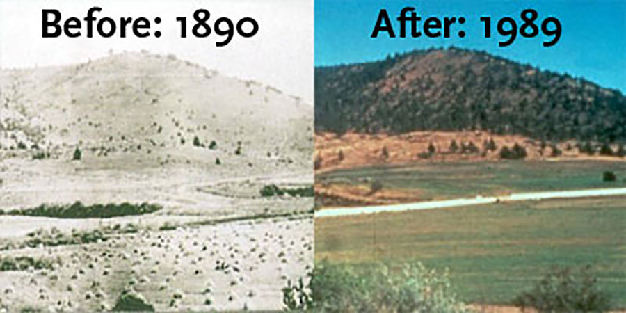 0119Keystone Ranch before and after Juniper