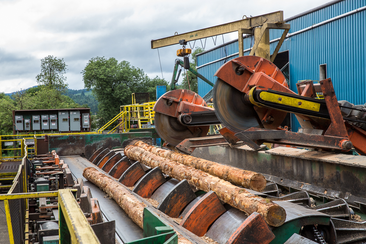 Photo Essay: Inside an Automated Sawmill – Oregon Business