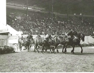 horse team 1940