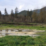 A farm with an overflowing manure lagoon